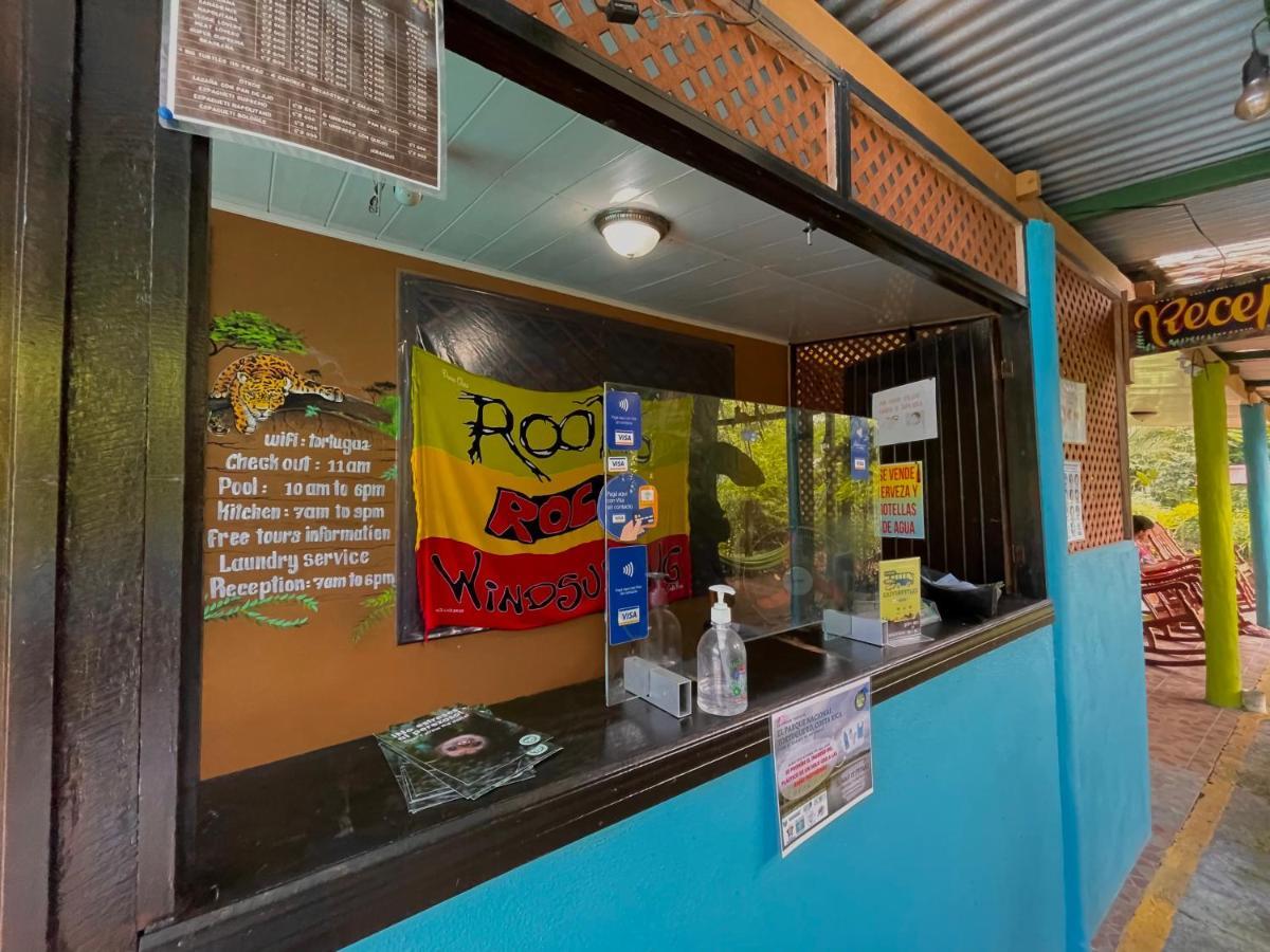 Los Amigos Jungle Hotel Tortuguero Zewnętrze zdjęcie