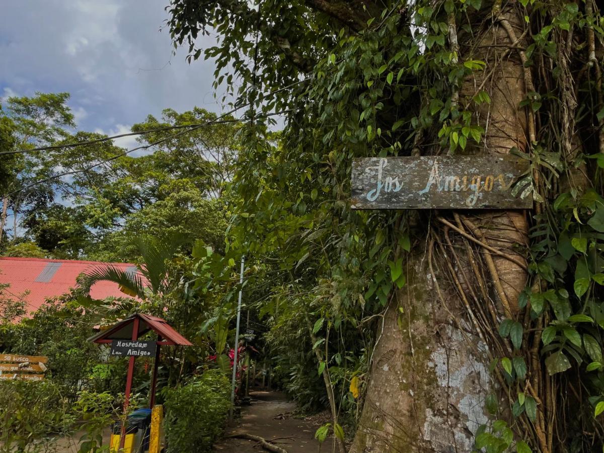 Los Amigos Jungle Hotel Tortuguero Zewnętrze zdjęcie
