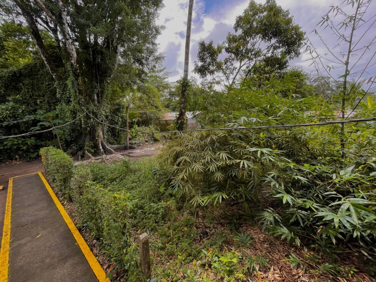 Los Amigos Jungle Hotel Tortuguero Zewnętrze zdjęcie