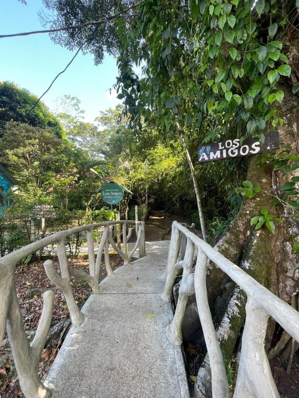 Los Amigos Jungle Hotel Tortuguero Zewnętrze zdjęcie